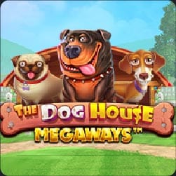 The Dog House Megaway